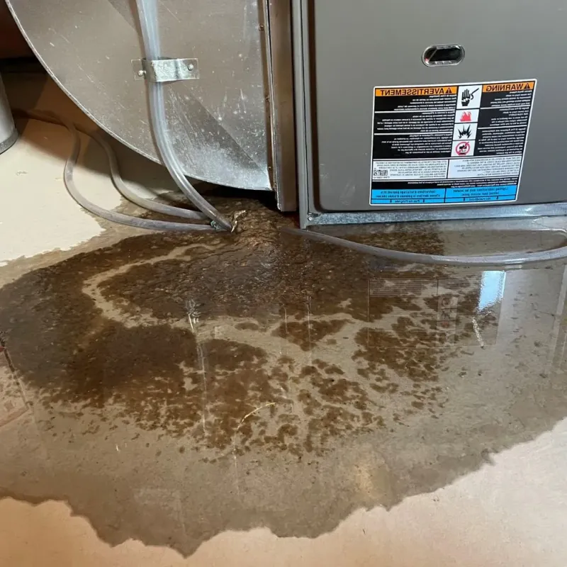Pipe Burst and Leak Restoration in Brandon, SD
