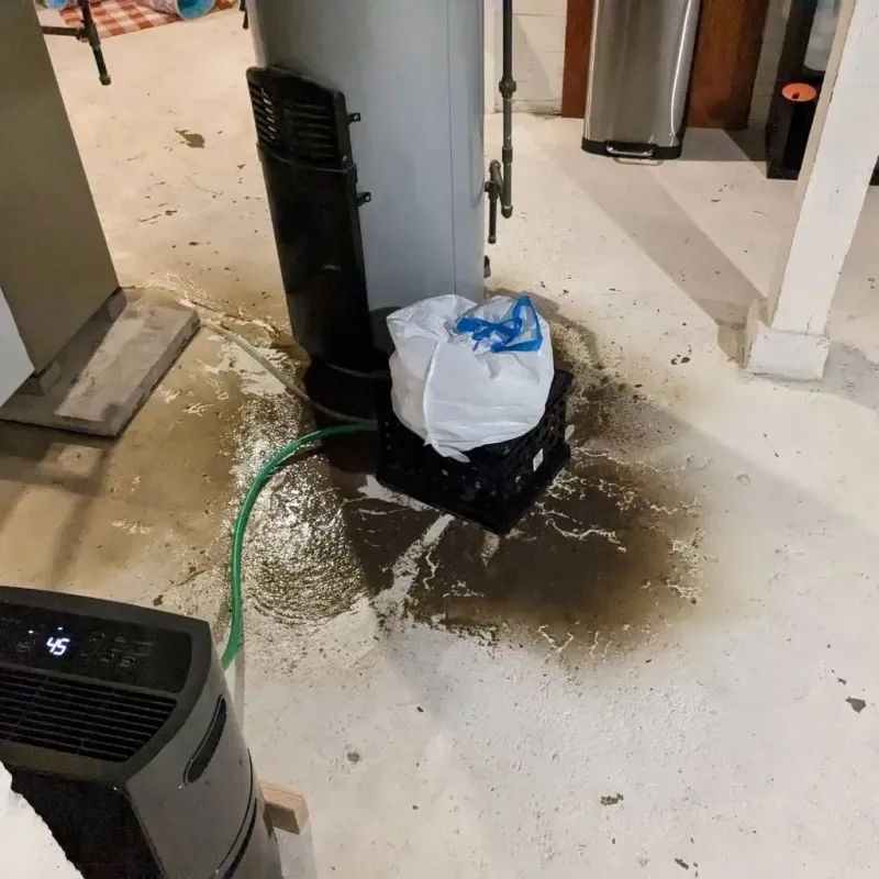 Sewage Backup Cleanup Service in Brandon, SD